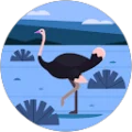Bill Jones Avatar