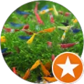Exotics And Aquatics Avatar